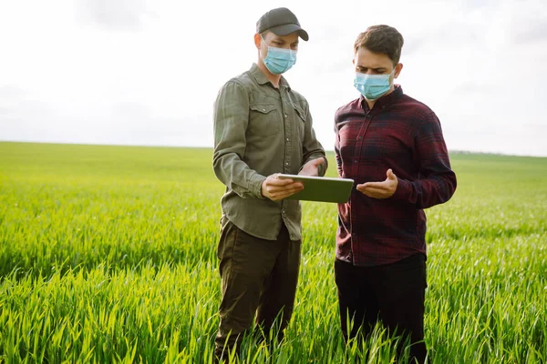 Two Farmers in protection mask with tablet in the field. Modern agriculture technology. Smart farming concept.