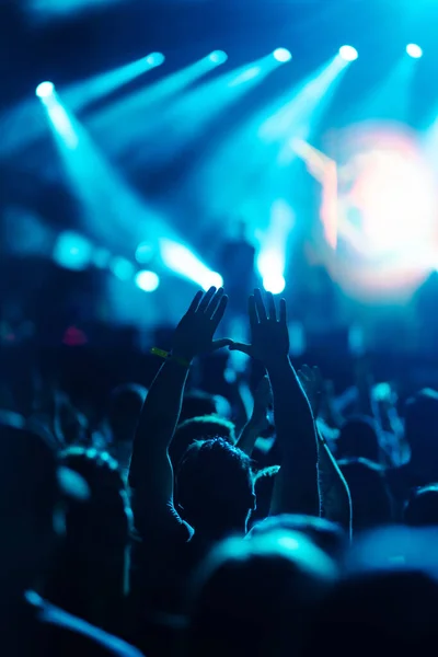 Using Smartphone Public Event Live Music Festival Holding Mobile Phone — Fotografia de Stock