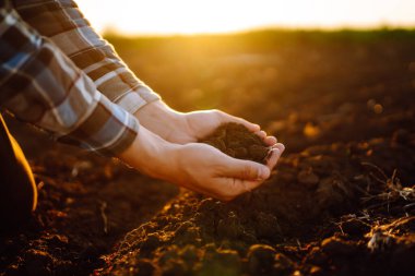 Hand of expert farmer collect soil. Farmer is checking soil quality before sowing. Business or ecology concept.