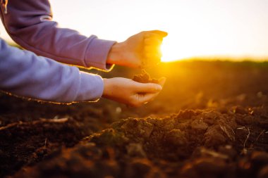 Uzman çiftçinin eli toprak topluyor. Çiftçi ekmeden önce toprak kalitesini kontrol ediyor. İş ya da ekoloji kavramı.