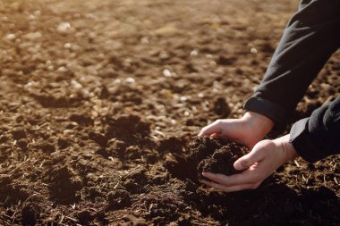 Uzman çiftçinin eli toprak topluyor. Çiftçi ekmeden önce toprak kalitesini kontrol ediyor. İş ya da ekoloji kavramı.