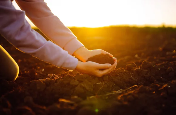 Hand of expert farmer collect soil. Farmer is checking soil quality before sowing. Business or ecology concept.