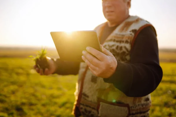 Farmer on a  wheat field with a tablet in his hands at sunset. Smart farm.  Agriculture, gardening or ecology concept