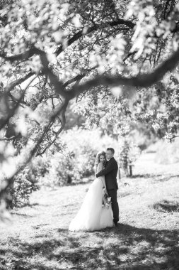 Mutlu evlilik çifti parkta eğleniyor. Düğün günü. Evlilikten. Gençlik, aşk, moda ve yaşam tarzı kavramı.