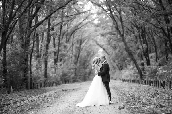 Happy Wedding Couple Enjoy Each Other Park Wedding Day Marriage — Fotografia de Stock