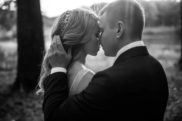 Happy Wedding Couple Enjoy Each Other Park Wedding Day Marriage — Foto Stock