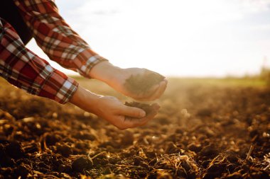 Farmer is checking soil quality before sowing. Agriculture production concept.