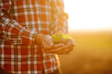 Farmer is checking soil quality before sowing. Agriculture production concept.