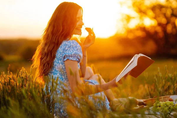 Beautiful Young Woman Having Picnic Park Summer Picnic Nature Healthy — Foto de Stock