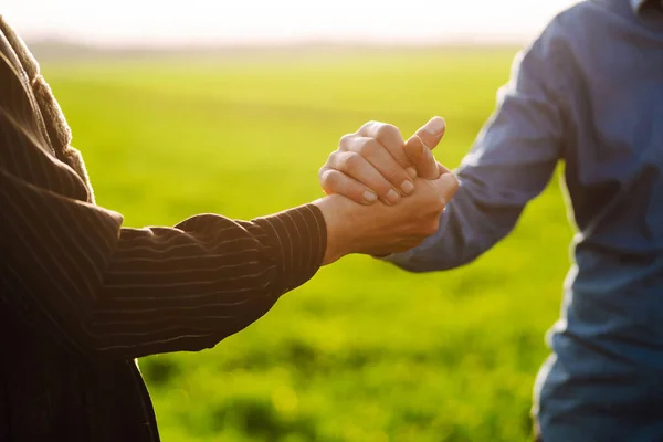Two Farmers Making Agreement Handshake Green Wheat Field Concept Agricultural — Foto Stock
