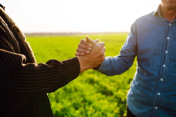 Two Farmers Making Agreement Handshake Green Wheat Field Concept Agricultural — Stockfoto