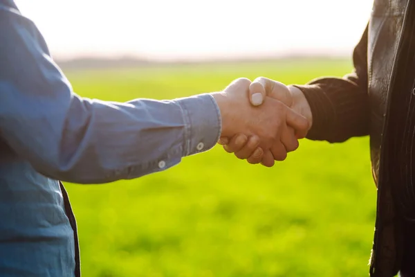 Two Farmers Making Agreement Handshake Green Wheat Field Concept Agricultural — Stok fotoğraf