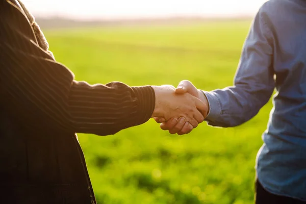 Two Farmers Making Agreement Handshake Green Wheat Field Concept Agricultural — Stock fotografie