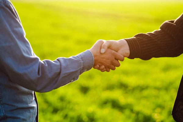Two Farmers Making Agreement Handshake Green Wheat Field Concept Agricultural — Stock fotografie