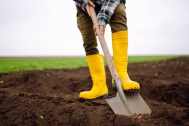 Female Worker wearing yellow boots digs soil with shovel in the vegetable garden. Agriculture, organic gardening, planting or ecology concept.