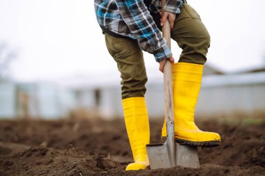 Female Worker wearing yellow boots digs soil with shovel in the vegetable garden. Agriculture, organic gardening, planting or ecology concept.