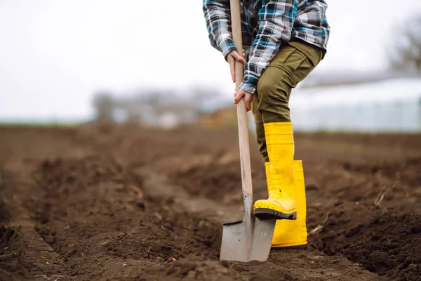 Female Worker wearing yellow boots digs soil with shovel in the vegetable garden. Agriculture, organic gardening, planting or ecology concept.