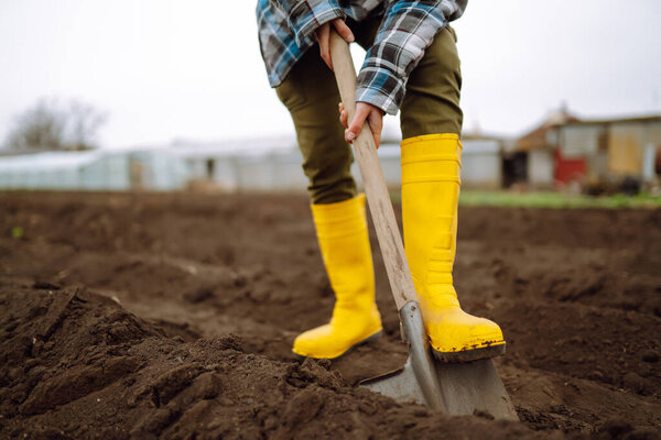 Female Worker wearing yellow boots digs soil with shovel in the vegetable garden. Agriculture, organic gardening, planting or ecology concept.