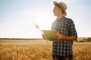 Farmer on a wheat field with a tablet in his hands. Smart farm. Agriculture, gardening or ecology concept