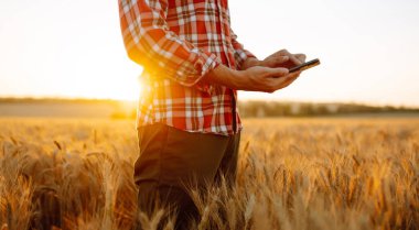 Farmer on a wheat field with a tablet in his hands. Smart farm. Agriculture, gardening or ecology concept