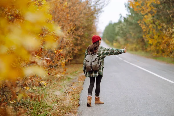 Młoda Autostopowiczka Przy Drodze Wśród Jesiennych Lasów Jesienią Podróżująca Kobieta — Zdjęcie stockowe