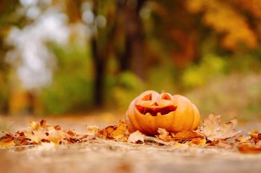 Cadılar bayramı için turuncu balkabağı seti. Tatiller, dekorasyon konsepti.
