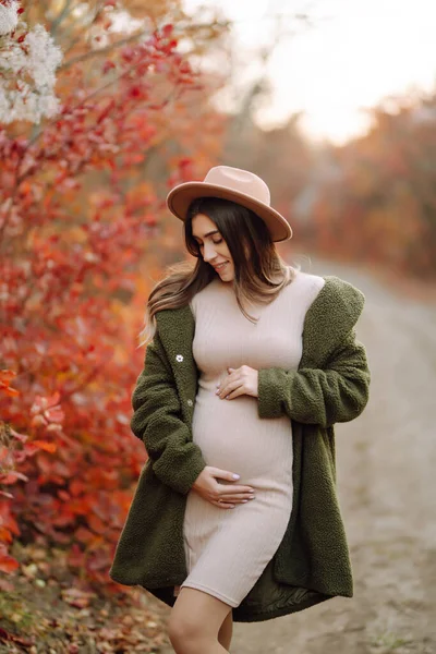 Schöne Schwangere Frau Fühlt Sich Schön Und Entspannen Sie Sich — Stockfoto