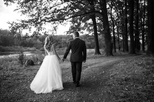 公園を歩いている間にロマンチックな瞬間を楽しんでいる若いカップル ロマンチックな結婚した若い家族 — ストック写真