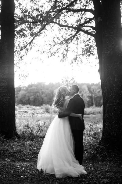 Young Couple Enjoying Romantic Moments While Walking Park Romantic Married — Stock Photo, Image