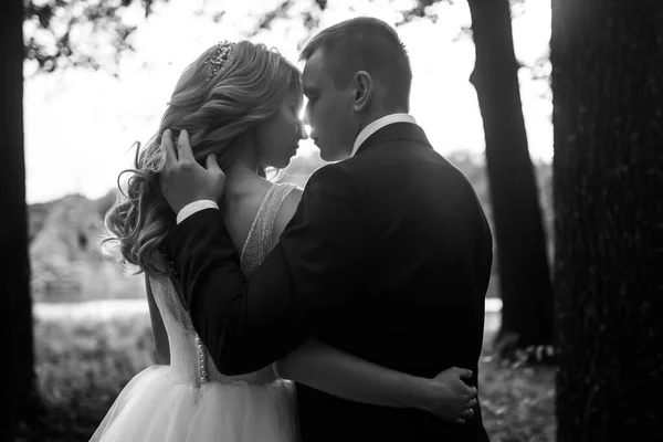 Casal Jovem Desfrutando Momentos Românticos Enquanto Caminha Parque Romântico Casado — Fotografia de Stock