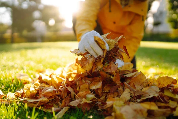 Чоловік Очищає Осінній Парк Від Жовтого Листя Волонтерство Очищення Екологічна — стокове фото
