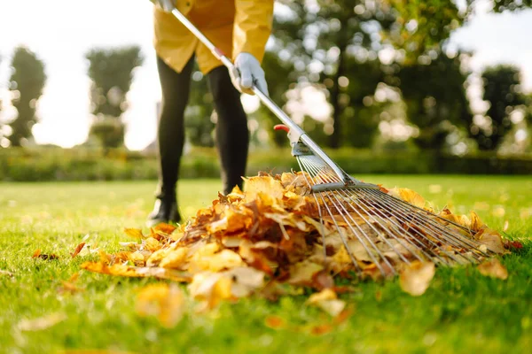 Rake Mucchio Foglie Cadute Sul Prato Nel Parco Autunnale Concetto — Foto Stock