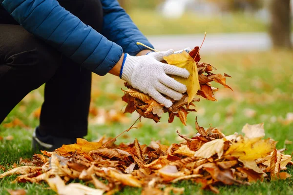 Hombre Limpia Parque Otoño Hojas Amarillas Concepto Voluntariado Limpieza Ecología —  Fotos de Stock