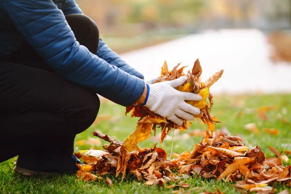 Hombre Limpia Parque Otoño Hojas Amarillas Concepto Voluntariado Limpieza Ecología —  Fotos de Stock