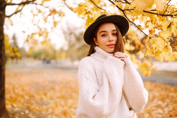 가을에 유행하는 스웨터를 공원을 매력적 미소짓는 여성의 모자를 스타일 — 스톡 사진