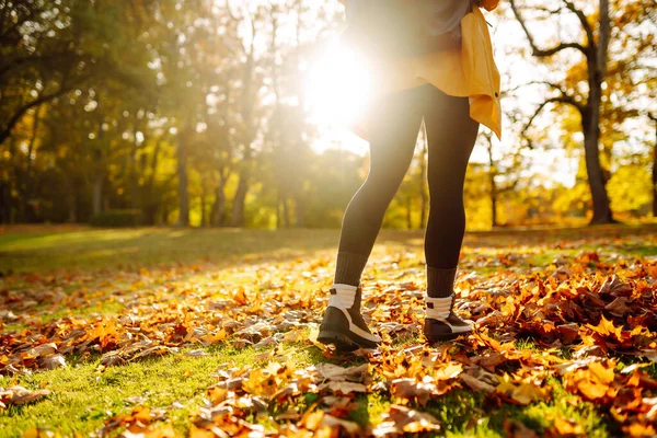 Kvinner Går Høstløv Skogen Hvile Avslapning Livsstilskonsept – stockfoto