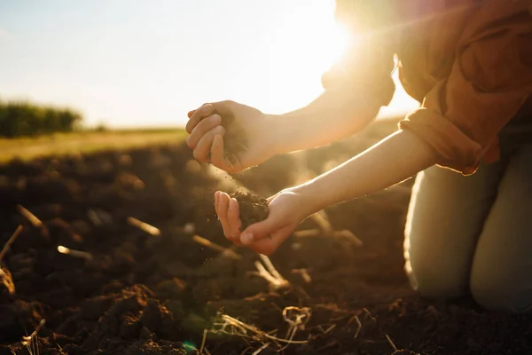 Tangan Ahli Petani Memeriksa Kesehatan Tanah Sebelum Menumbuhkan Benih Sayuran — Stok Foto