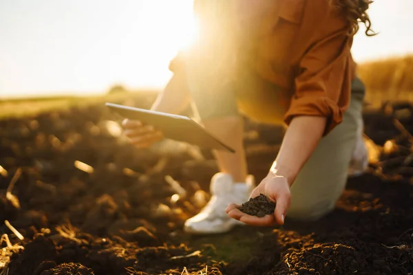 Expert Hand Farmer Checking Soil Health Growth Seed Vegetable Plant — Stock Photo, Image