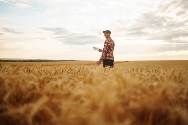 Smart farm. Farmer with tablet in the field. Agriculture, gardening or ecology concept.