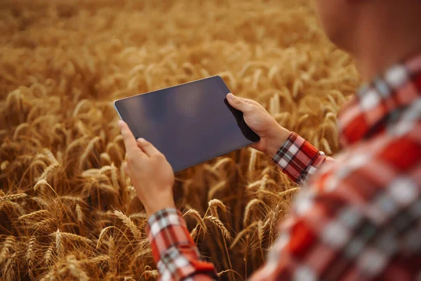 Smart farm. Farmer with tablet in the field. Agriculture, gardening or ecology concept.