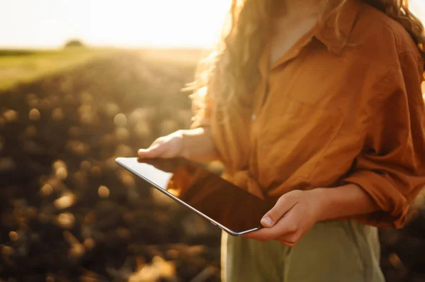 Tablet in the female hands of a farmer.  Checking his crops on an agricultural field. Smart farm and digital agriculture.