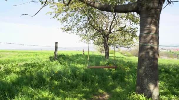 Wooden home-made swing on ropes hangs on tree branch and moves with wind — Video Stock