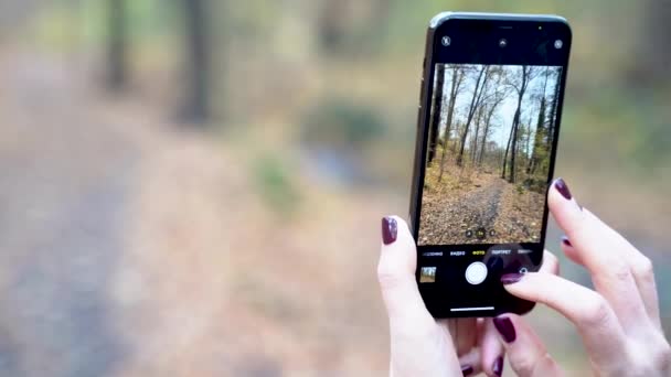 Young woman takes photos and videos on smart phone recording autumnal park — Vídeos de Stock