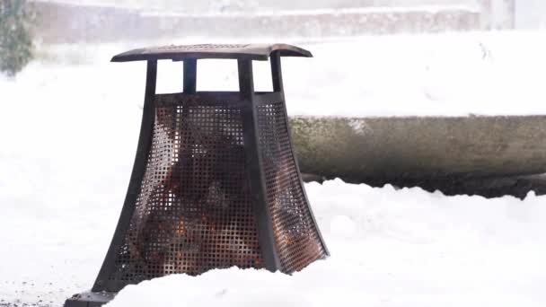 Metallic heater wooden campfire in snowy park on cloudy winter calm cozy day — Vídeo de Stock