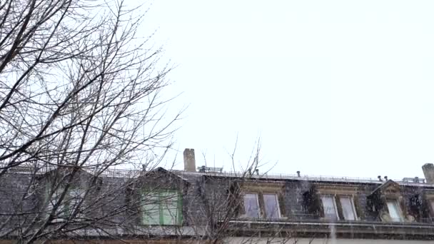 Snowfall on cloudy day on old German street with houses and tree. Snowflakes — ストック動画