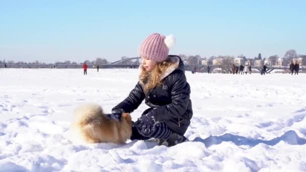 Κοριτσάκι με ζεστά ρούχα που παίζει με τον σκύλο Πομεράνιαν στο χιόνι την ηλιόλουστη μέρα — Αρχείο Βίντεο