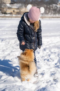 Kalın elbiseli küçük bir kız kar üstünde köpek Spitz 'e yemek veriyor.