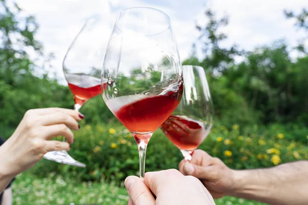 Tres amigos o familiares brindan y beben copas con vino tinto en el picnic Imagen de archivo