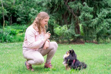 Genç sarışın kadın köpeği Spitz Pomeranian 'ı parkta eğitip besliyor.