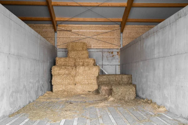 Yellow dry haystacks in square shape stand on top of each other in concrete shed — Stock Photo, Image